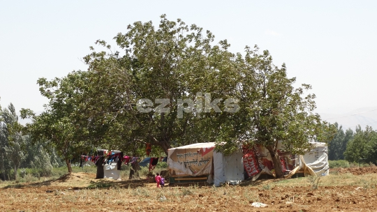 Syrian refugees