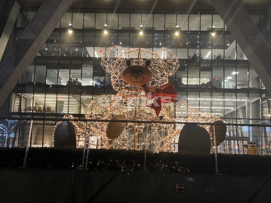 Teddy Bear