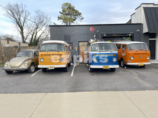 Vintage VWs