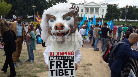 White House Protest