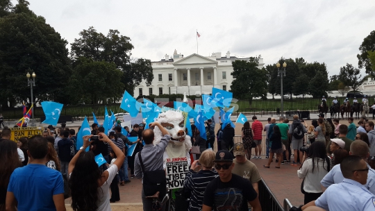White House Protest