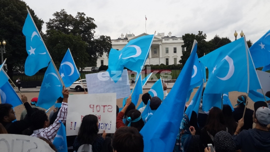 White House Protest