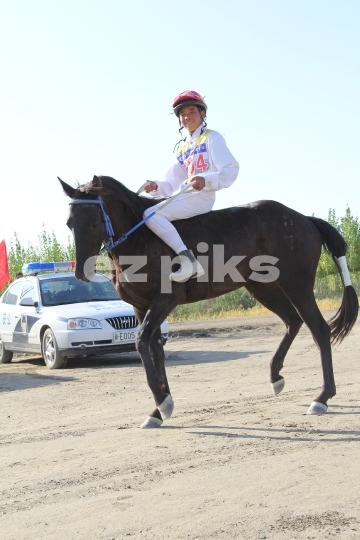 Young Jockey 